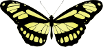 Butterfly 15 (yellow)
